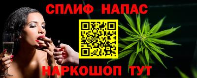apvp Пугачёв