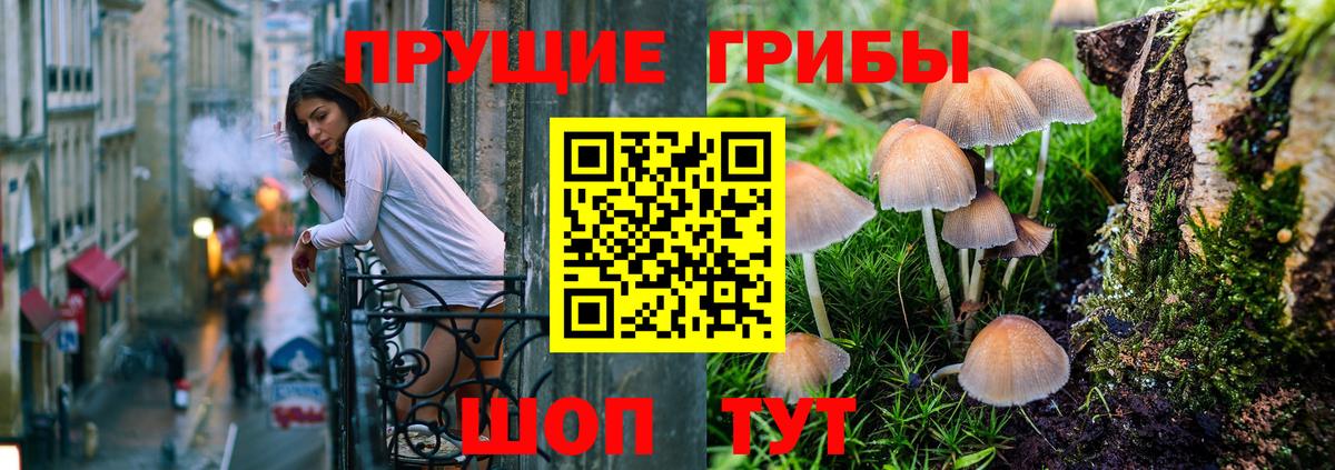 Балашиха  Галлюциногенные грибы мухоморы  Вход с VPN  Галлюциногенные грибы Magic Shrooms 