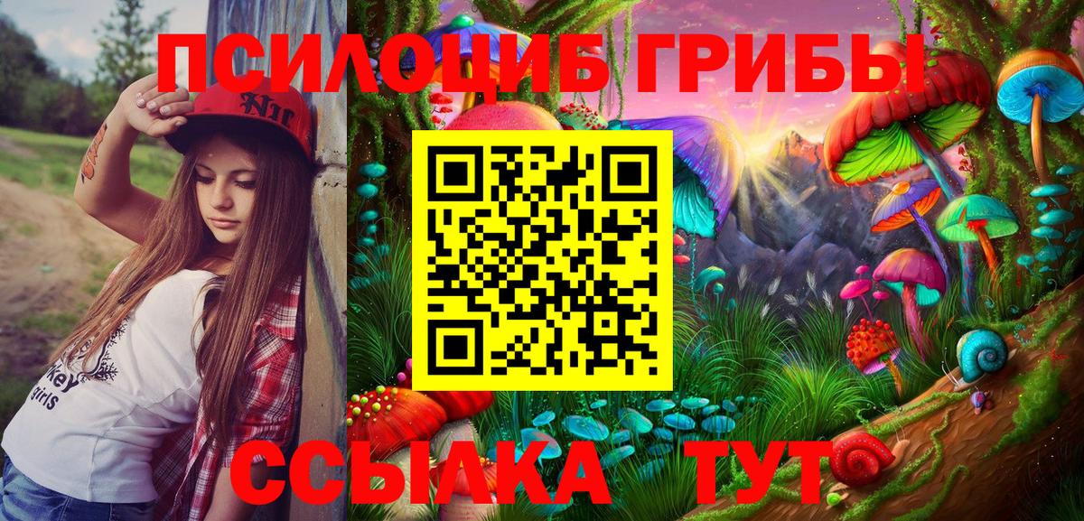 Галлюциногенные грибы Psilocybine cubensis Балашиха